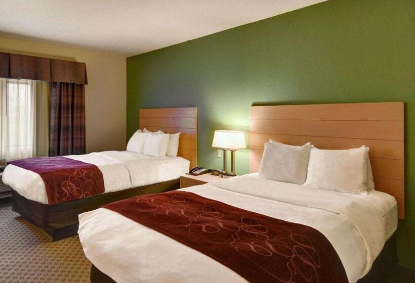 Студия Стандарт, Comfort Suites Lindale
