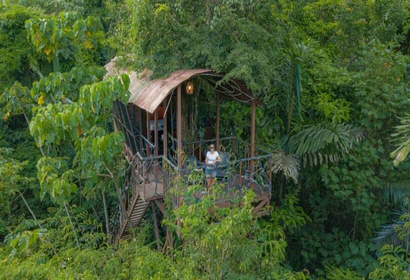 1间卧室的房子, Maquenque Ecolodge