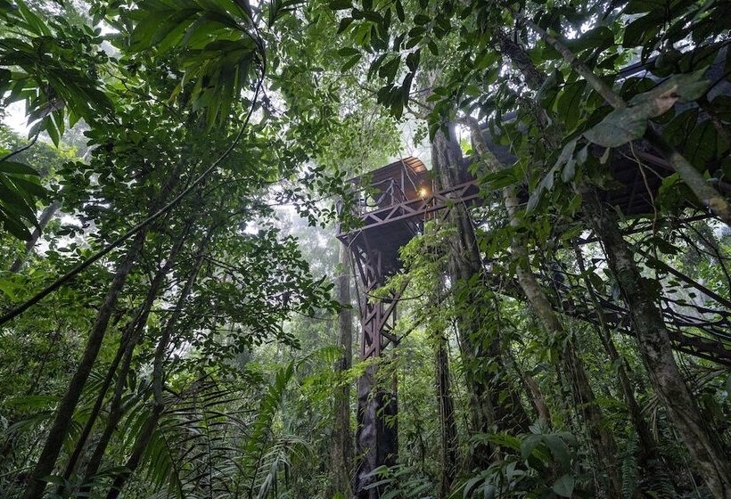 1间卧室的房子, Maquenque Ecolodge