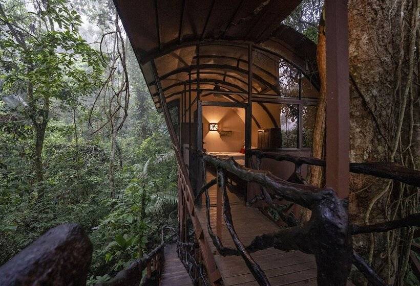 1间卧室的房子, Maquenque Ecolodge