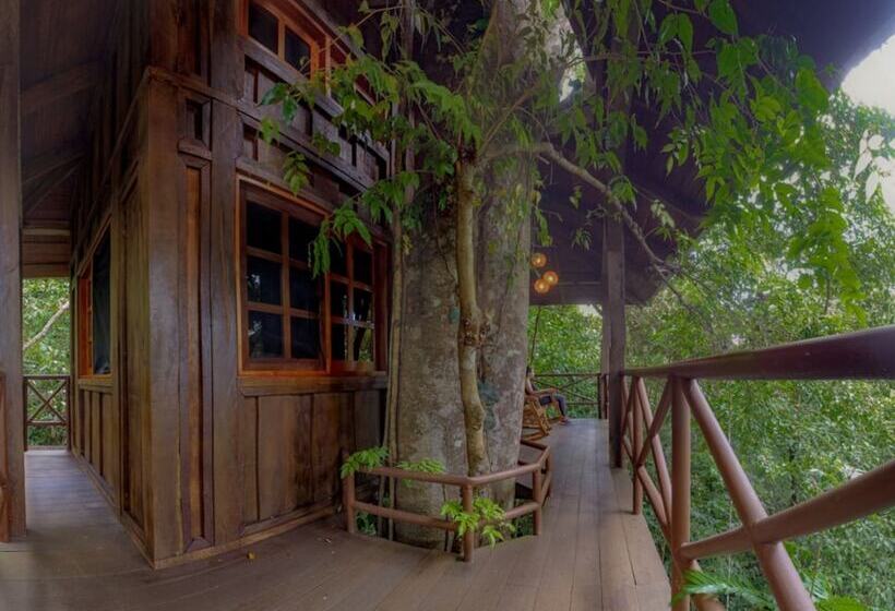 1间卧室的房子, Maquenque Ecolodge