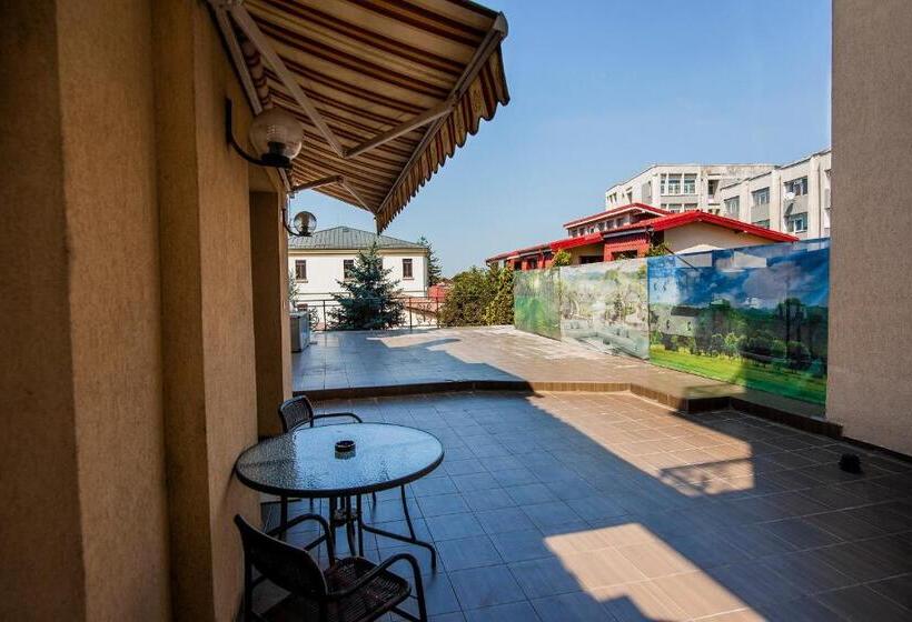 Полулюкс Одноместный с Террасой, Golden House