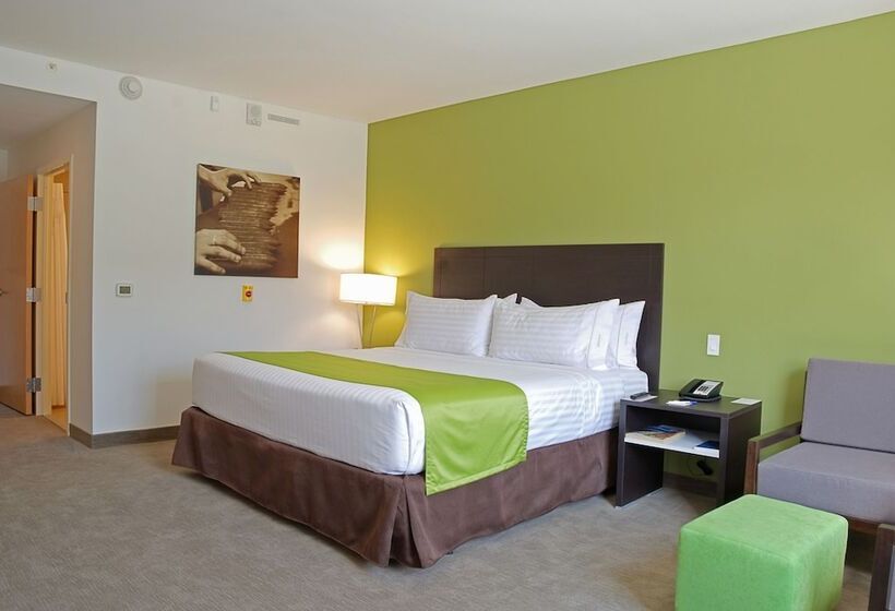 标准间, Holiday Inn Express Managua, An Ihg