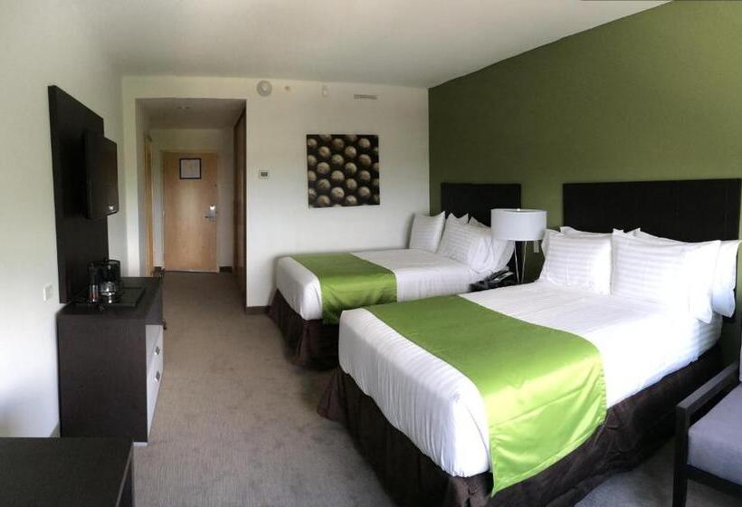 标准间, Holiday Inn Express Managua, An Ihg