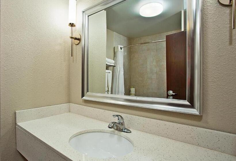 Стандартный Номер Кровать Кинг, Holiday Inn Express & Suites Springfield, An Ihg