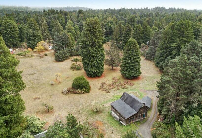 스탠다드 스튜디오, Meadow Redwoods