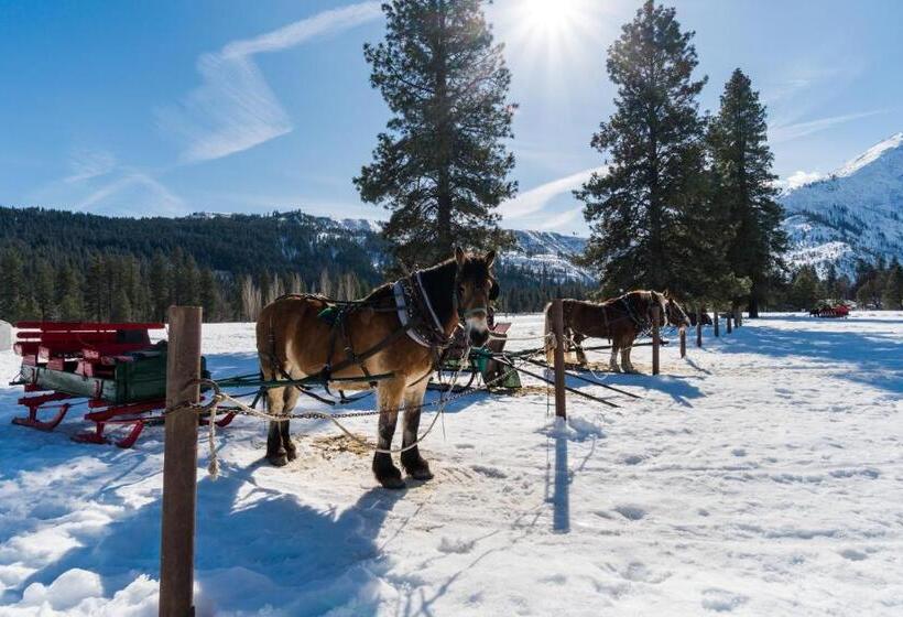 带1个卧室的公寓, Aspen Suites 505: Enchantment Abode