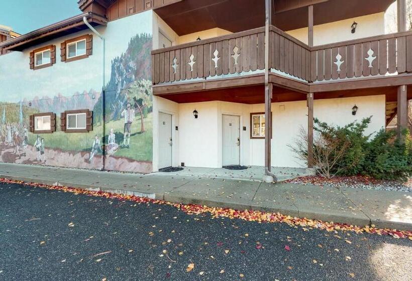 带1个卧室的公寓, Aspen Suites 505: Enchantment Abode