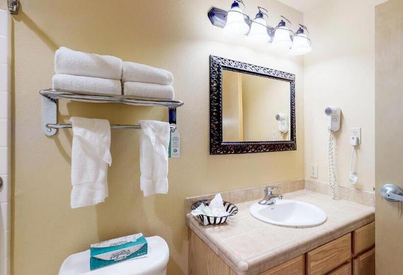 带1个卧室的公寓, Aspen Suites 505: Enchantment Abode
