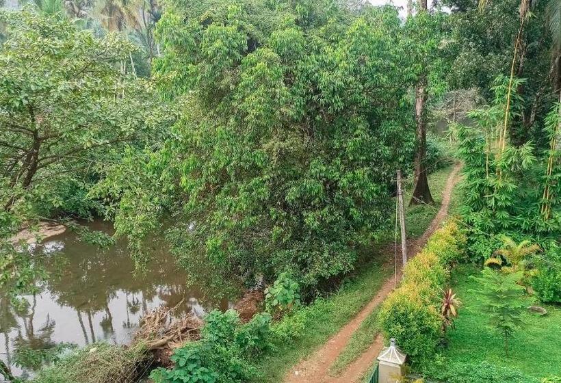 디럭스 룸 킹사이즈 침대, Athirapilly On The Rocks