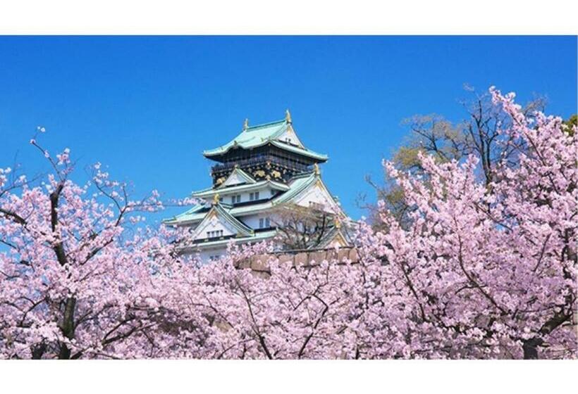 استودیوی استاندارد, Eins,inn Umeda Higashi  Vacation Stay 30033v