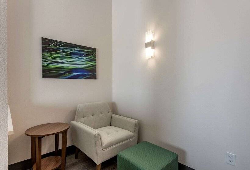 Люкс Адаптированный для Инвалидов, Comfort Suites Colorado Springs East  Medical Center Area