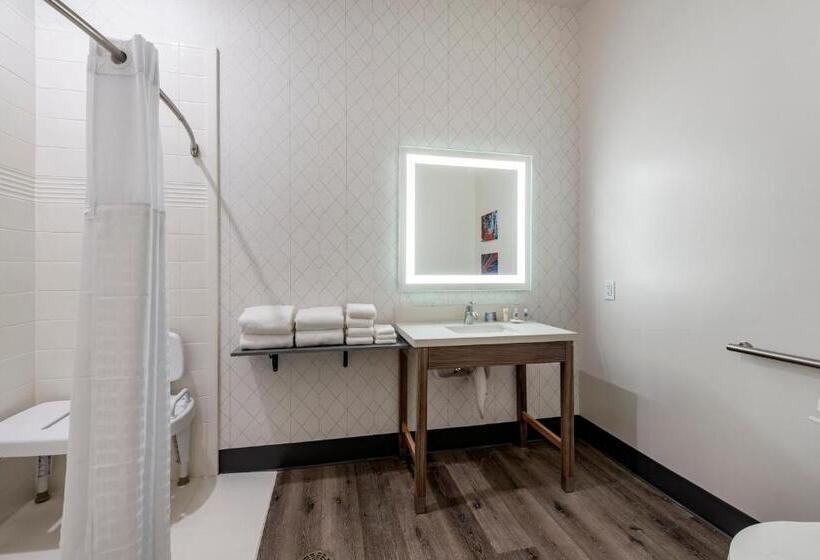 Люкс Адаптированный для Инвалидов, Comfort Suites Colorado Springs East  Medical Center Area