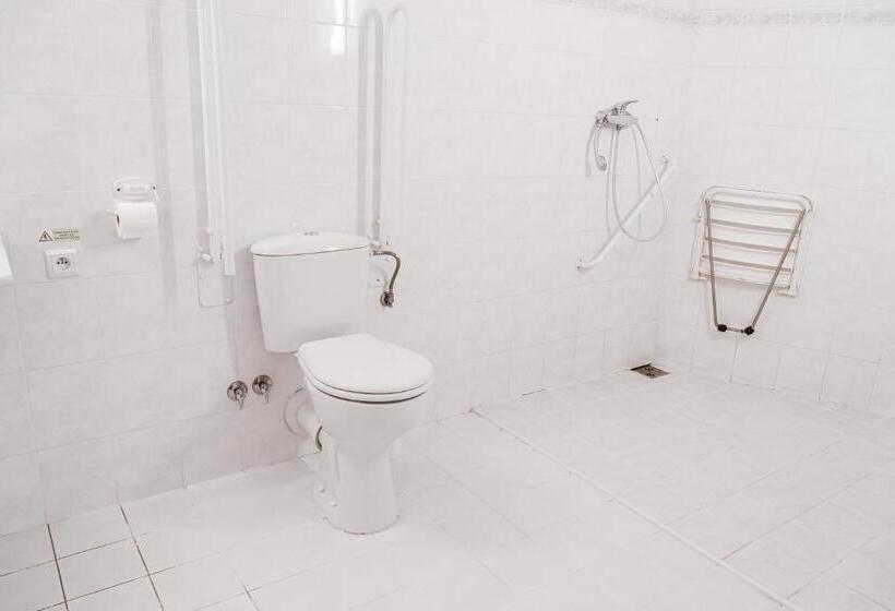 اتاق استاندارد برای معلولان, Arena