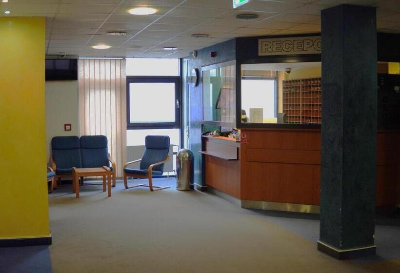 اتاق استاندارد چهار تخته, Arena