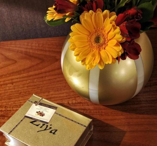اتاق استاندارد, Ziya