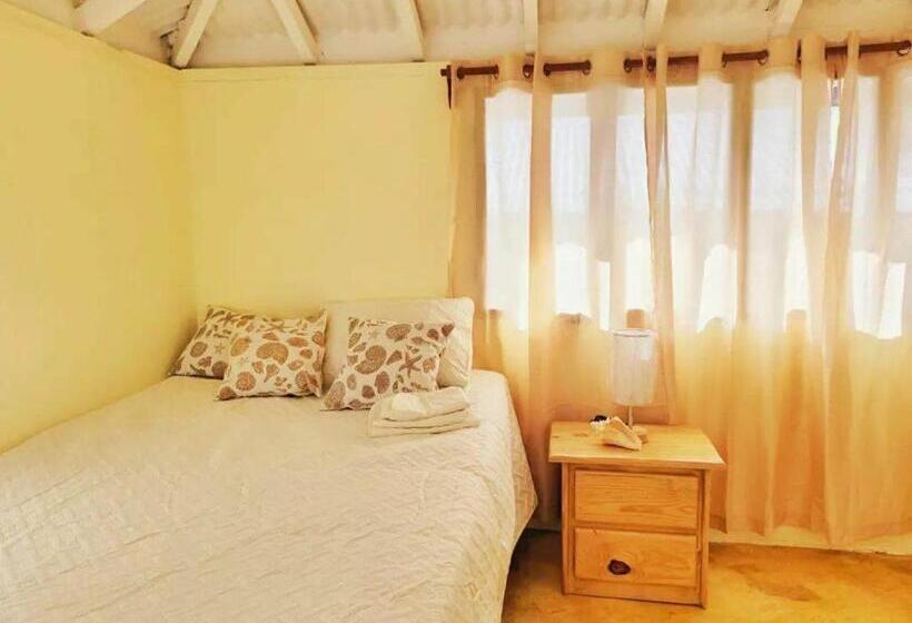 带1个卧室的高级公寓, Arena Oceanview Hotel & La Terraza Restaurant