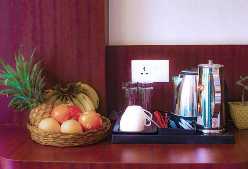 اتاق استاندارد با تخت بزرگ, Avianna Gangtok Resort & Spa