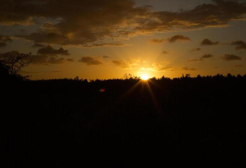 بانگلوی استاندارد, Afriican Village Zanzibar