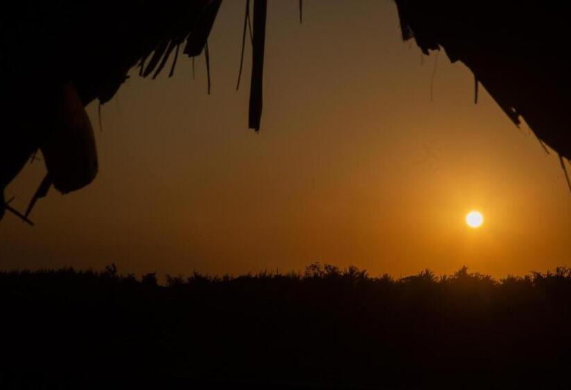 بانگلوی استاندارد, Afriican Village Zanzibar