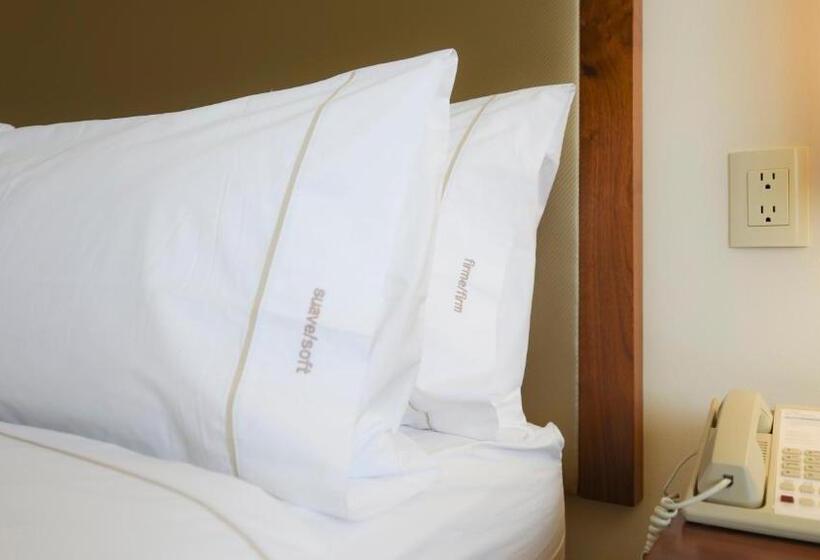 اتاق استاندارد, Holiday Inn Express And Suites Celaya, An Ihg