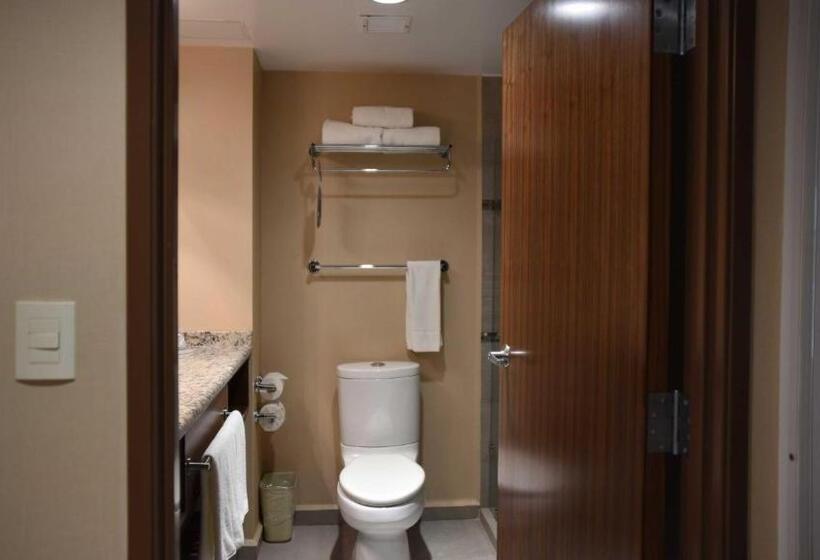 اتاق استاندارد, Holiday Inn Express And Suites Celaya, An Ihg
