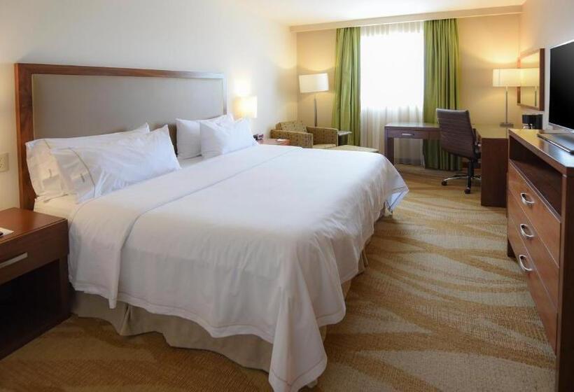 اتاق اجرایی با تخت بزرگ, Holiday Inn Express And Suites Celaya, An Ihg