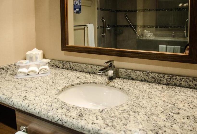 اتاق اجرایی با تخت بزرگ, Holiday Inn Express And Suites Celaya, An Ihg