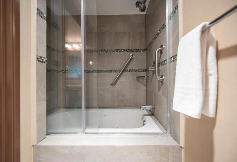 اتاق اجرایی با تخت بزرگ, Holiday Inn Express And Suites Celaya, An Ihg