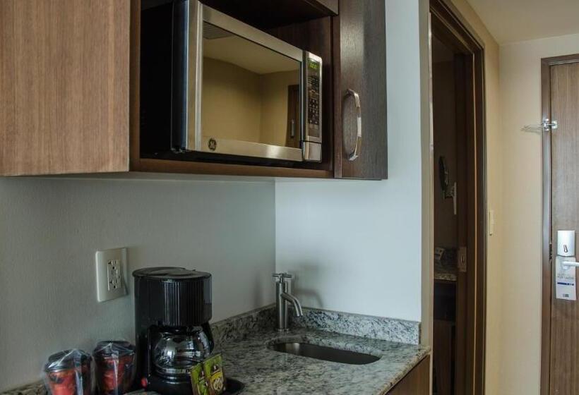 اتاق استاندارد با آشپزخانه, Holiday Inn Express And Suites Celaya, An Ihg