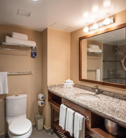 اتاق استاندارد با آشپزخانه, Holiday Inn Express And Suites Celaya, An Ihg