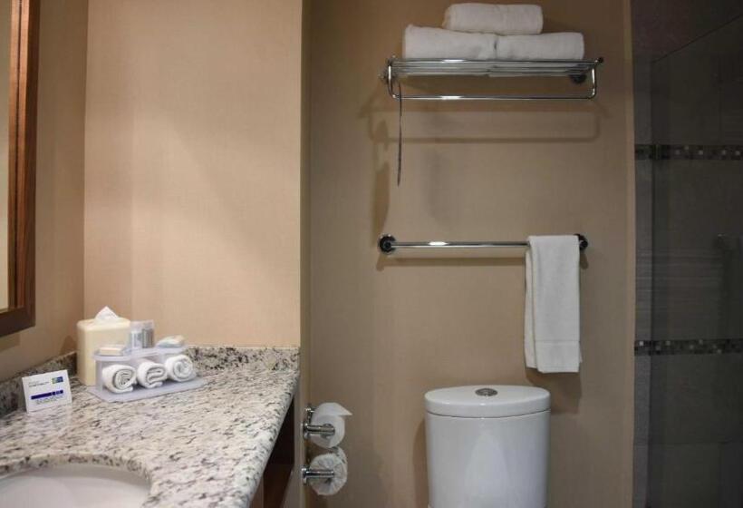اتاق استاندارد با آشپزخانه, Holiday Inn Express And Suites Celaya, An Ihg