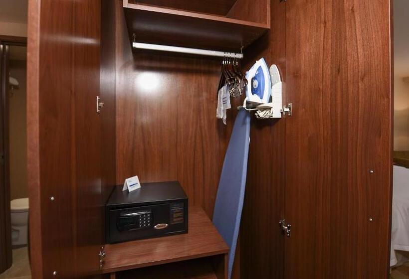 اتاق استاندارد با تخت بزرگ, Holiday Inn Express And Suites Celaya, An Ihg