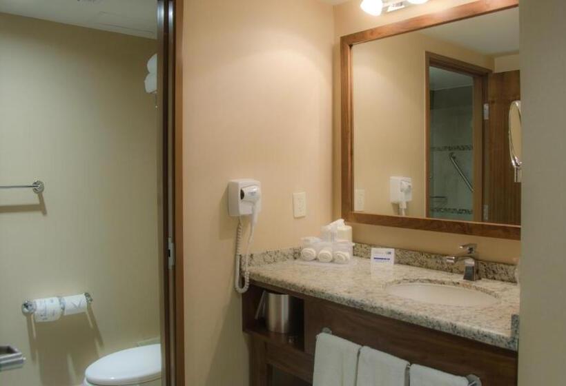 اتاق استاندارد با تخت بزرگ, Holiday Inn Express And Suites Celaya, An Ihg