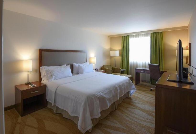اتاق استاندارد با تخت بزرگ, Holiday Inn Express And Suites Celaya, An Ihg