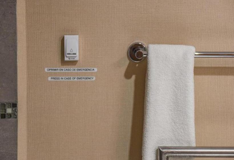 اتاق استاندارد با تخت بزرگ برای معلولان, Holiday Inn Express And Suites Celaya, An Ihg