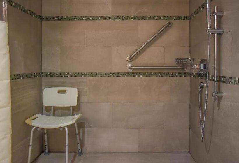 اتاق استاندارد با تخت بزرگ برای معلولان, Holiday Inn Express And Suites Celaya, An Ihg