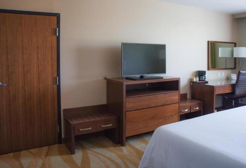 اتاق استاندارد با تخت بزرگ برای معلولان, Holiday Inn Express And Suites Celaya, An Ihg