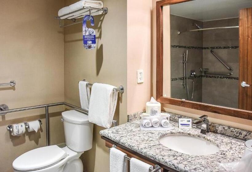 اتاق استاندارد با تخت بزرگ برای معلولان, Holiday Inn Express And Suites Celaya, An Ihg