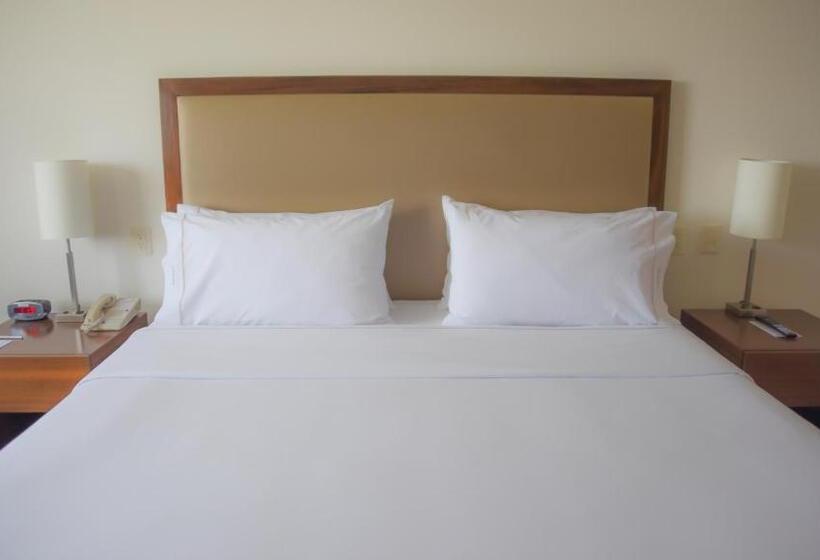 اتاق استاندارد با تخت بزرگ برای معلولان, Holiday Inn Express And Suites Celaya, An Ihg