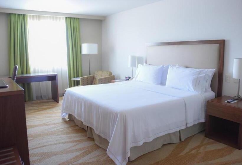 اتاق استاندارد با تخت بزرگ برای معلولان, Holiday Inn Express And Suites Celaya, An Ihg