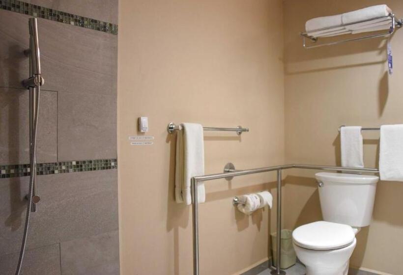 اتاق استاندارد با تخت بزرگ برای معلولان, Holiday Inn Express And Suites Celaya, An Ihg