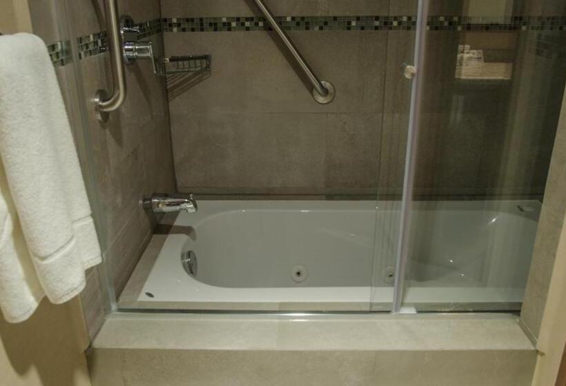 سوئیت با تخت بزرگ, Holiday Inn Express And Suites Celaya, An Ihg