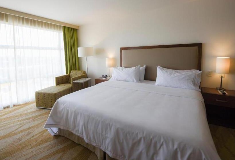 سوئیت با تخت بزرگ, Holiday Inn Express And Suites Celaya, An Ihg