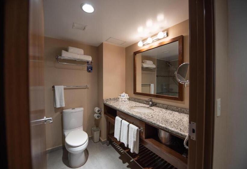 سوئیت با تخت بزرگ, Holiday Inn Express And Suites Celaya, An Ihg