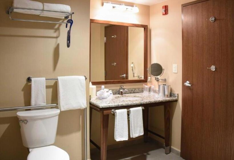 اتاق استاندارد با تخت بزرگ برای معلولان, Holiday Inn Express And Suites Celaya, An Ihg