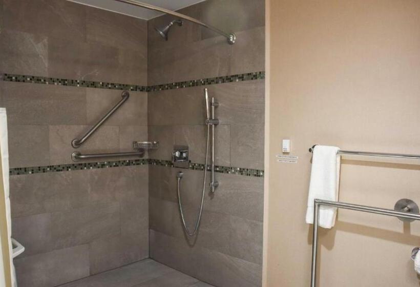 اتاق استاندارد با تخت بزرگ برای معلولان, Holiday Inn Express And Suites Celaya, An Ihg