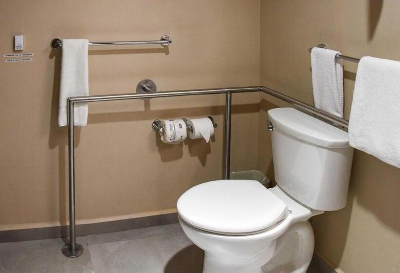 اتاق استاندارد با تخت بزرگ برای معلولان, Holiday Inn Express And Suites Celaya, An Ihg