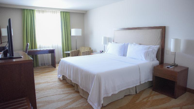 اتاق استاندارد با تخت بزرگ برای معلولان, Holiday Inn Express And Suites Celaya, An Ihg