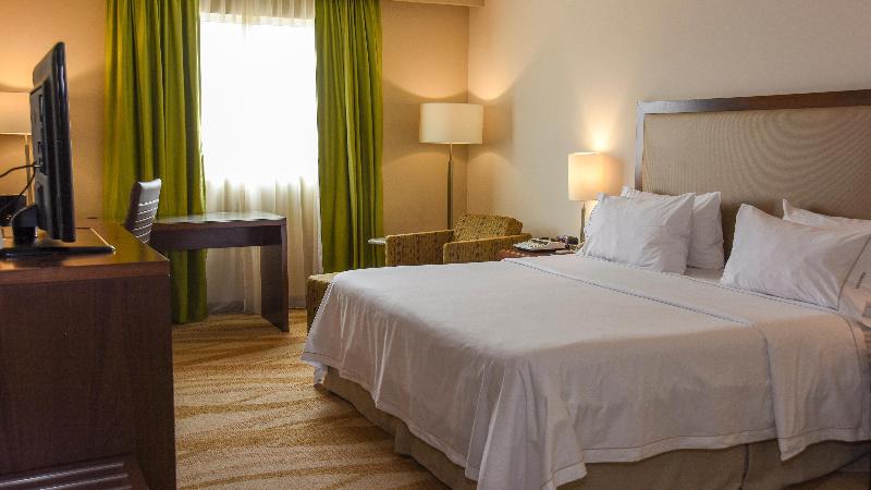 اتاق استاندارد با تخت بزرگ برای معلولان, Holiday Inn Express And Suites Celaya, An Ihg